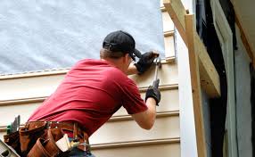 Best Steel Siding Installation  in Hornsby Bend, TX